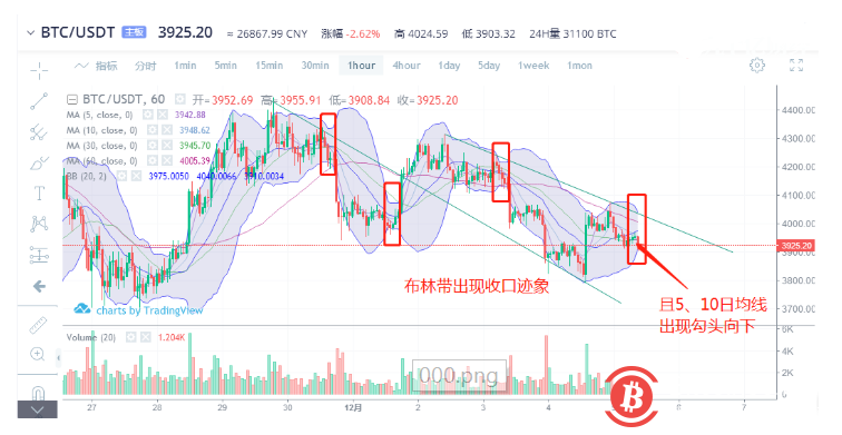 博狗比特币扑克平台整体偏弱，做多需谨慎