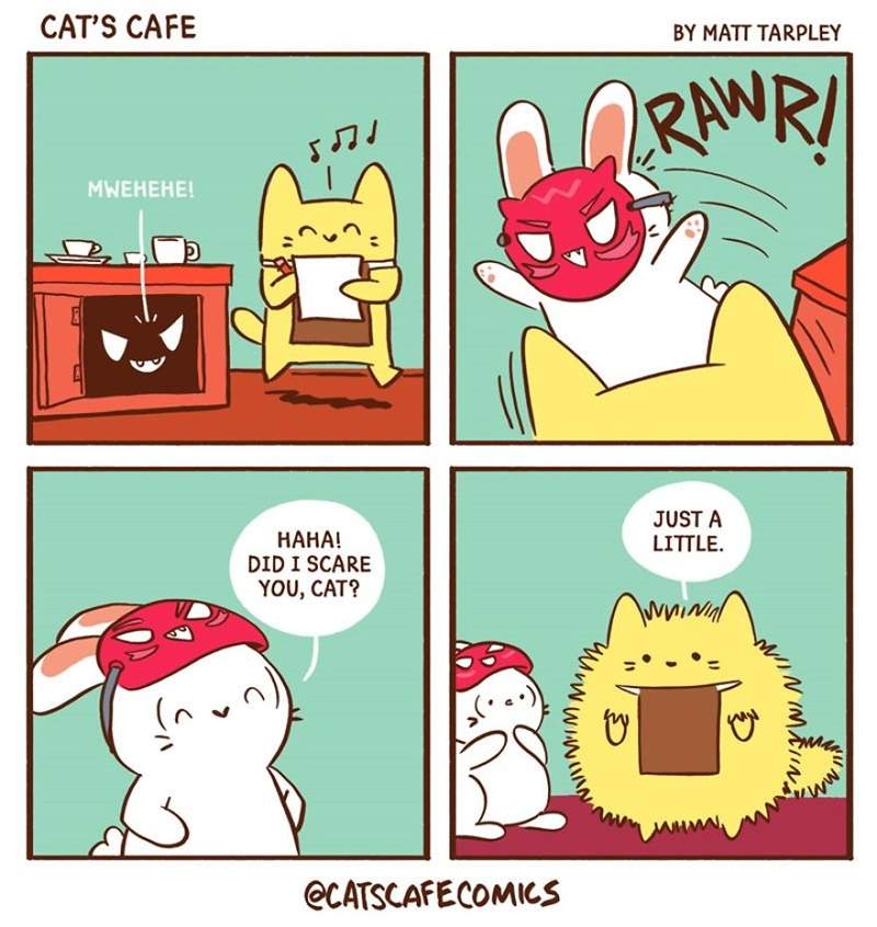 动物插画《Cat’s cafe》 猫咪咖啡厅治愈系萌宠超可爱