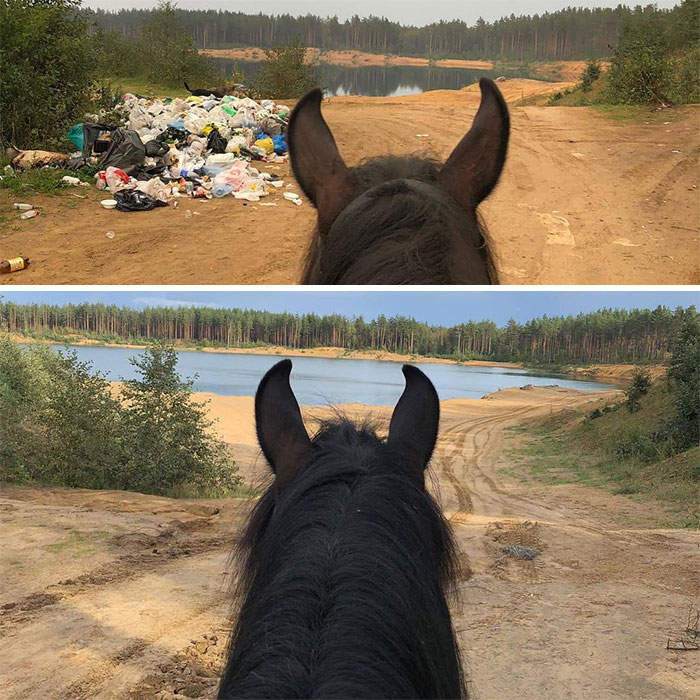 垃圾清理挑战值得跟风 “网络挑战游戏”遭疯传