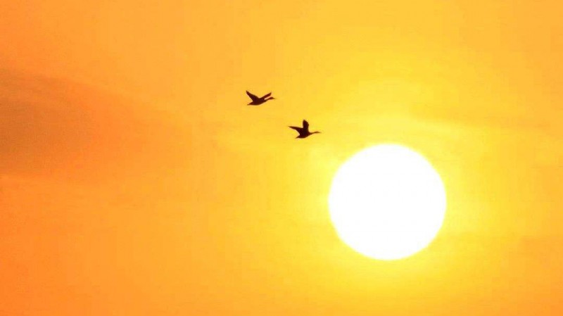 太阳是爸爸，月亮是妈妈