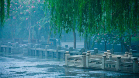 雨中景色，别是一番风景