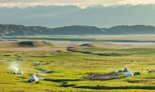 理想的杀手的图片 理想的杀手