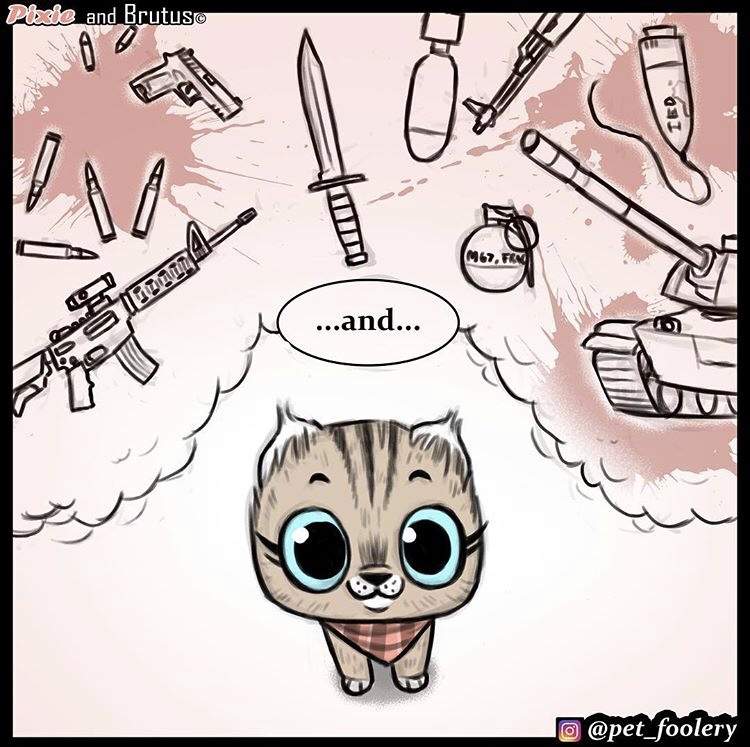 动物漫画《退役军犬与小猫咪》最新故事 布鲁托为猫咪操碎了心