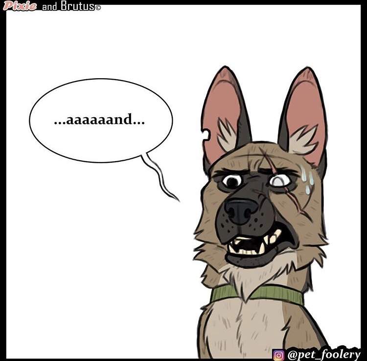 动物漫画《退役军犬与小猫咪》最新故事 布鲁托为猫咪操碎了心