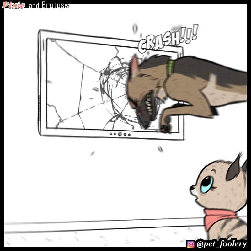 动物漫画《退役军犬与小猫咪》最新故事 布鲁托为猫咪操碎了心