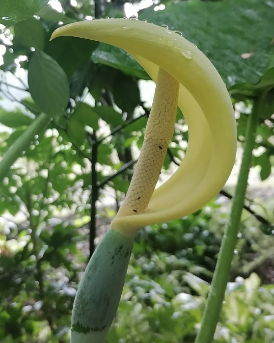 讨厌的样子的图片 讨厌的样子