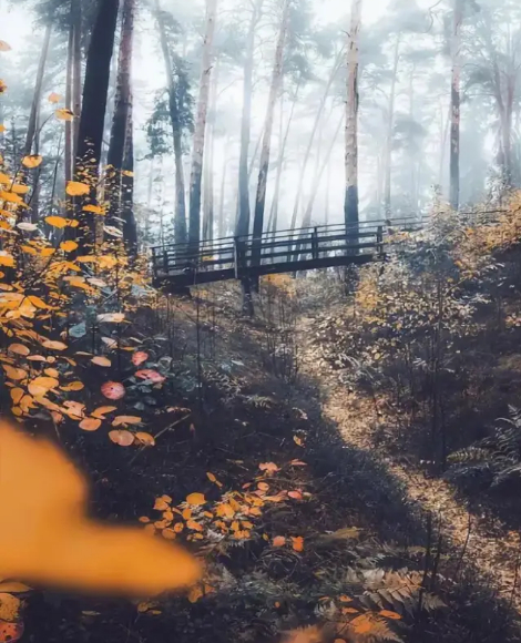 小小说五篇的图片 小小说五篇