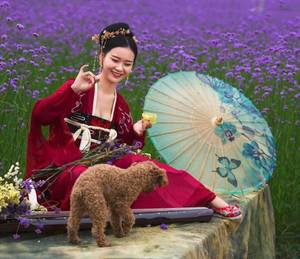 穿越乾隆盛世反清小说 男朋友给我用仙女棒