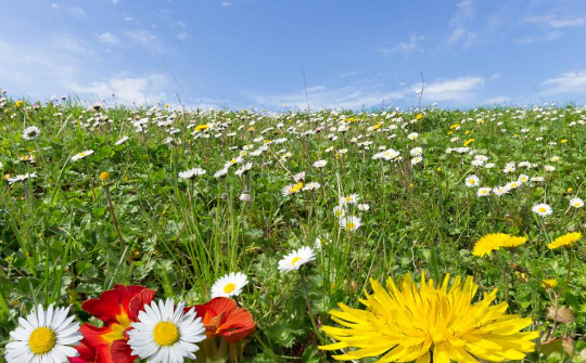 感恩这个时代的图片 感恩这个时代