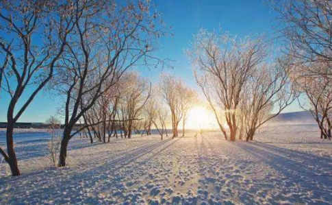 关于下雪天的记忆的图片 关于下雪天的记忆