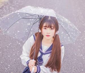 宝莲灯续文之沉香入魔小说 师兄个个太撩人