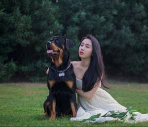 穿书女原男主姓沈 小东西还没喂饱你总裁