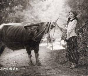 软萌受 高H 小妖精我就蹭蹭不进去