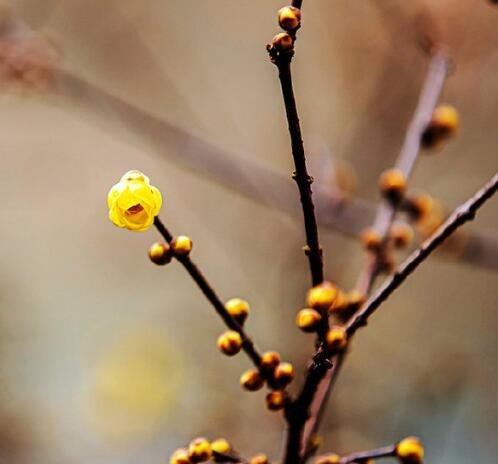 忠县到涪陵，怎么走?