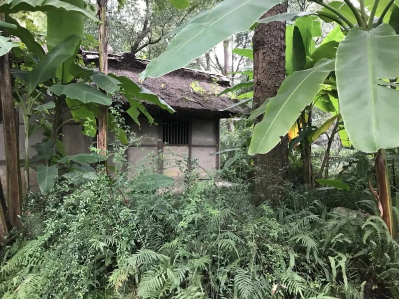 我看杜甫草堂