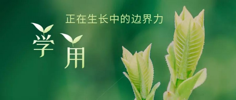 1月的那些值得记录的幸福瞬间