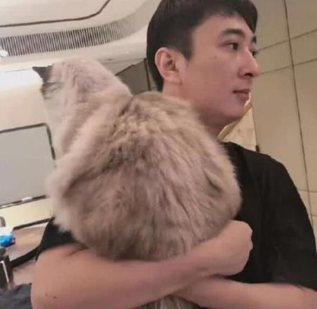王思聪给网红点赞疑示爱 女方曾是富二代秦奋女友