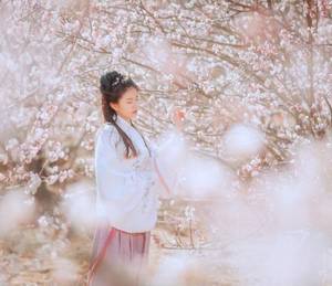 我的兽人切尔西全文阅读 晚上干哭你