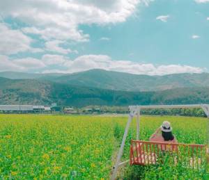 女朋友爱吃我丁丁 骑马深度宫交