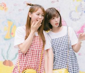 白色海棠叱小棠 市长因强行收税被打死