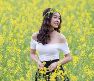 美人若骨小说全文已完结 将军 不要了 公主