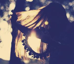 把生姜放在菊花里 局长开警花苞