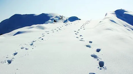 雪地上的脚印