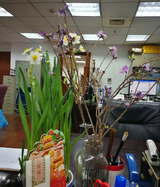 年菜