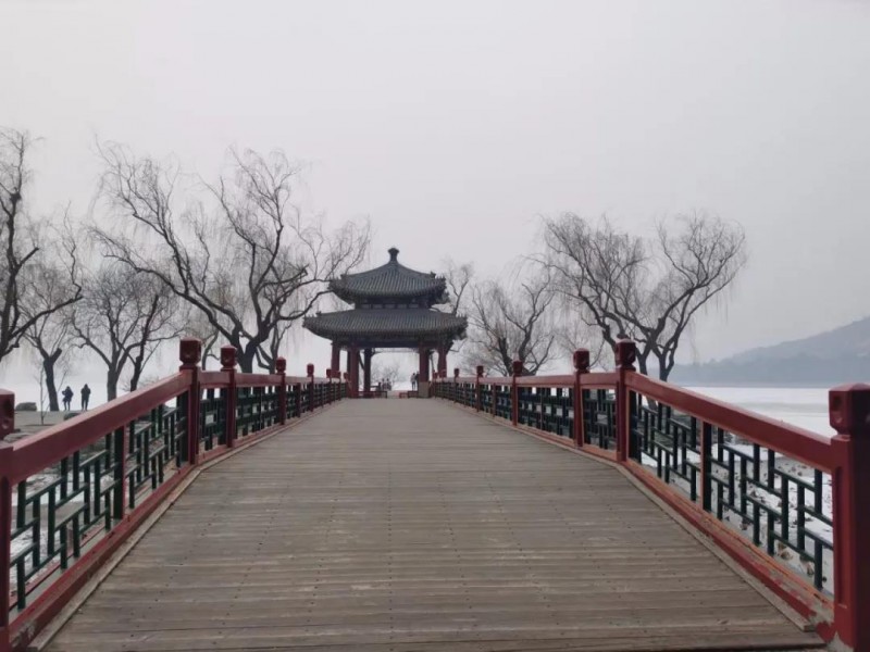 我们的手机时代