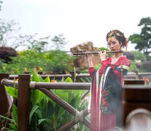 总裁抱着在镜子前走 办公室辣文书网