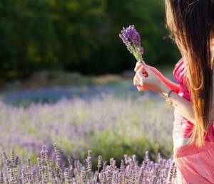 福伦把自己放入紫薇 贫僧肉肉部分