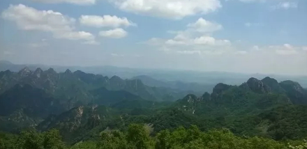 半睁老眼看夏花
