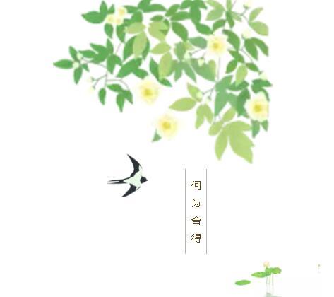 舍与得