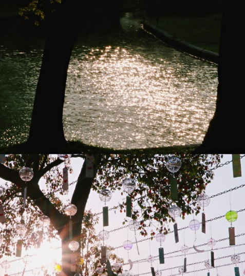 快乐的胡达古拉（五十七）