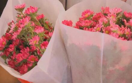 珍惜昏黄日落，也眷恋素素家常