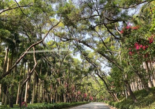 快乐的胡达古拉（九十三）