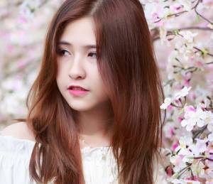 将军不要了太快了茉儿 鬟华香满夜完结