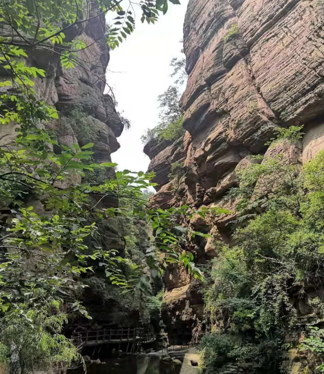 云在水里，鱼在天上