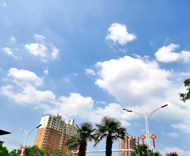 长日欢喜，盛夏与你