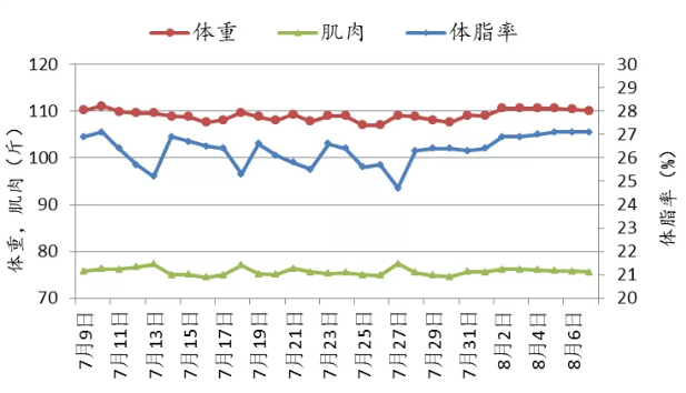 30天，被体脂率盯住